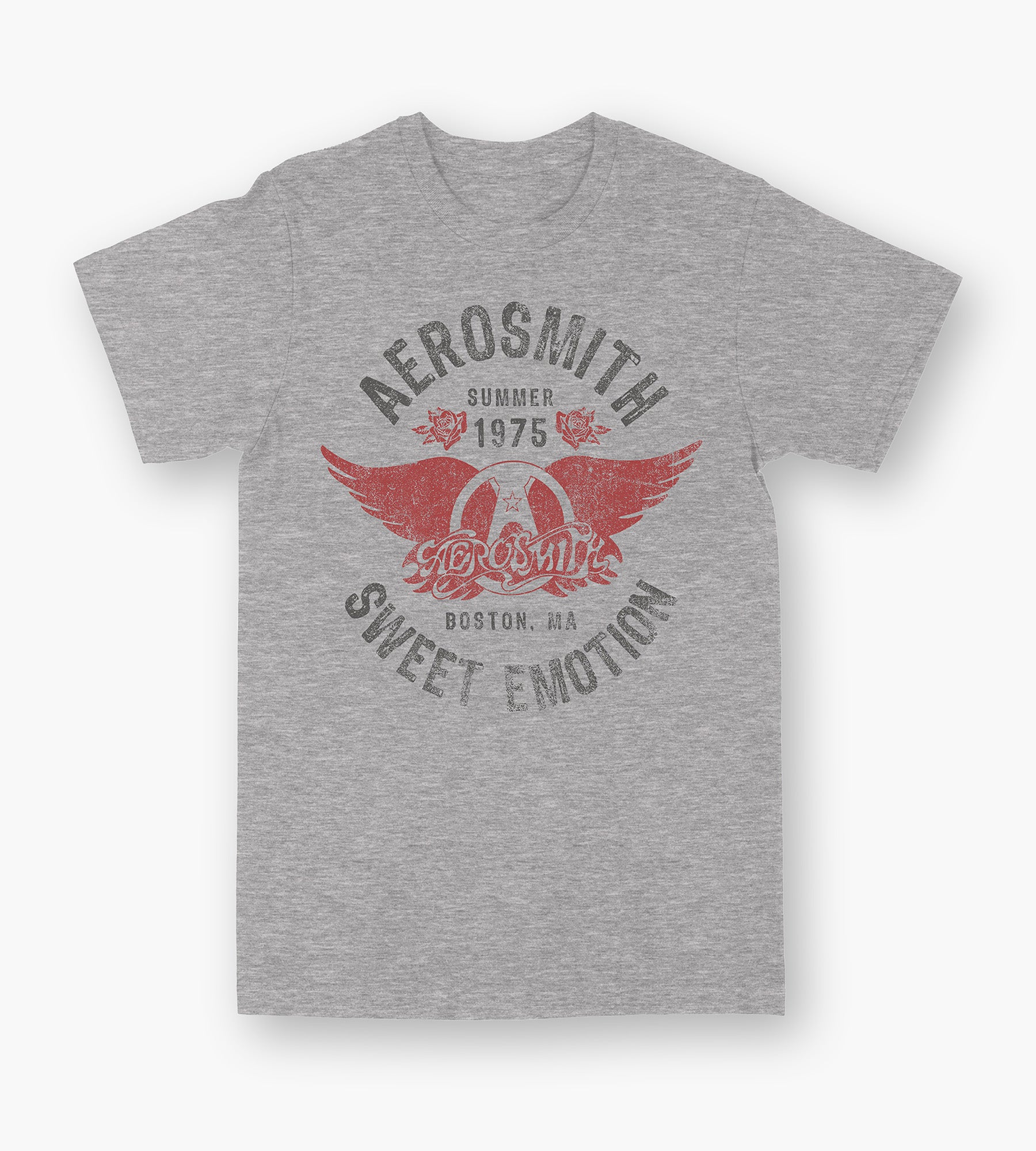 Aerosmith Graphic Tee